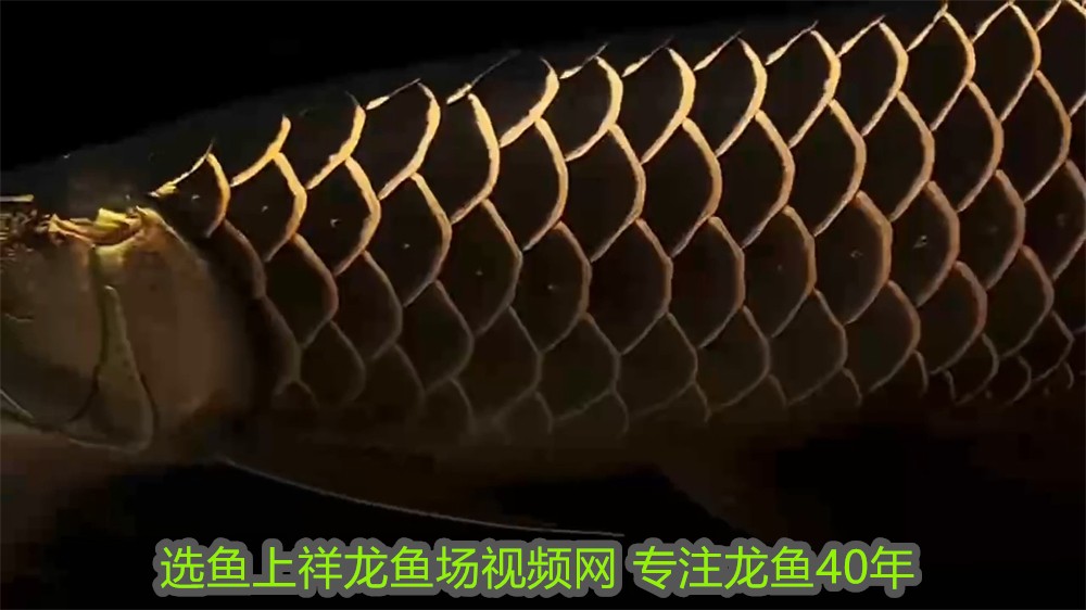 深圳奧博特科技有限公司是外包公司嗎?(深圳市奧博科技有限公司)