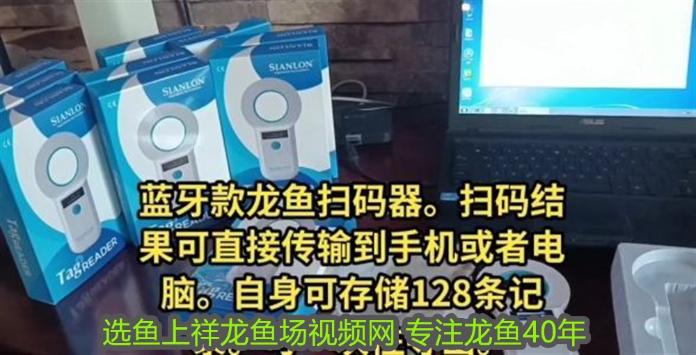 銀龍魚用嘴巴撞魚缸是什么原因呢(銀龍魚嘴巴撞壞了多久能好) 銀龍魚百科 第1張 銀龍魚用嘴巴撞魚缸是什么原因呢(銀龍魚嘴巴撞壞了多久能好) 銀龍魚用嘴巴撞魚缸是什么原因呢(銀龍魚嘴巴撞壞了多久能好) 銀龍魚百科 第1張