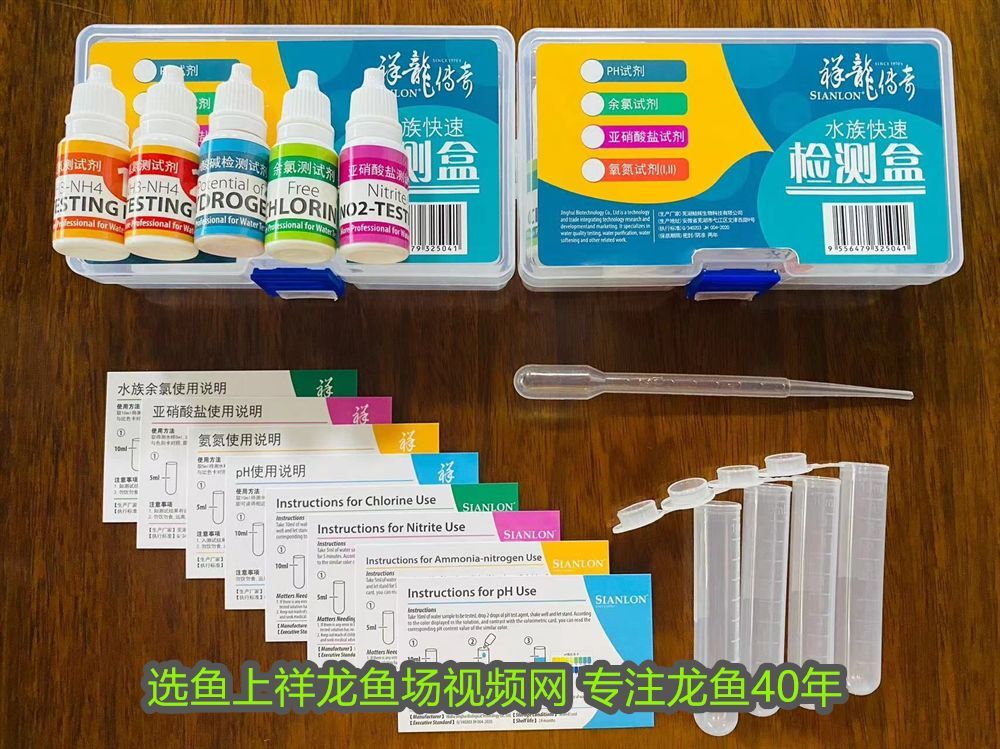 銀龍魚(yú)苗養(yǎng)殖注意事項(xiàng)有哪些圖片(銀龍魚(yú)苗喂什么) 銀龍魚(yú)苗養(yǎng)殖注意事項(xiàng)有哪些圖片(銀龍魚(yú)苗喂什么) 銀龍魚(yú)百科 第2張