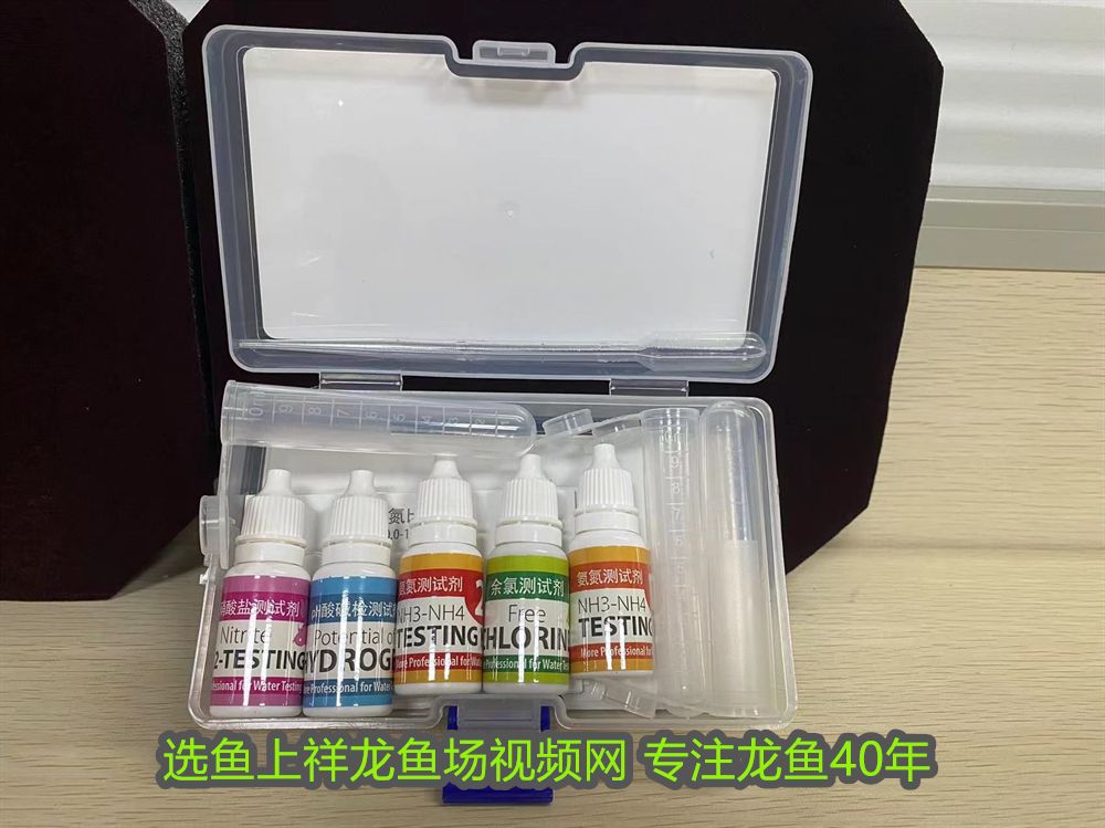 印尼虎魚飼養(yǎng)條件是什么：印尼虎魚飼養(yǎng)條件是什么印尼虎魚飼養(yǎng)條件是什么 印尼虎魚飼養(yǎng)條件是什么：印尼虎魚飼養(yǎng)條件是什么印尼虎魚飼養(yǎng)條件是什么 虎魚百科 第2張