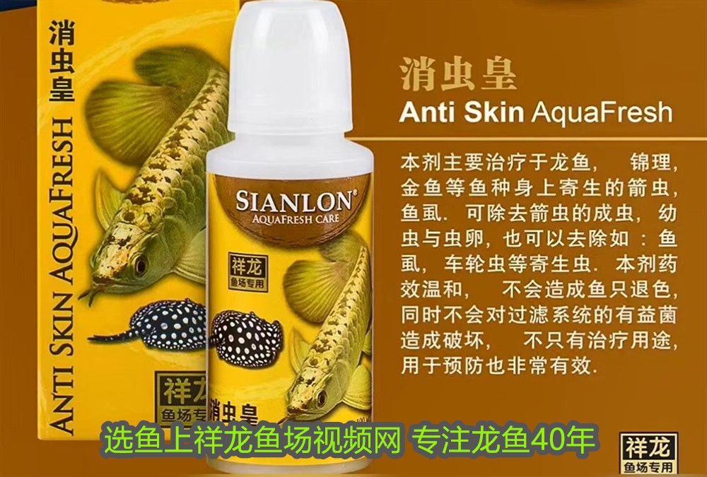 豬鼻龜被列入國(guó)家二級(jí)動(dòng)物了么(豬鼻龜哪年被列入二級(jí)保護(hù)動(dòng)物)