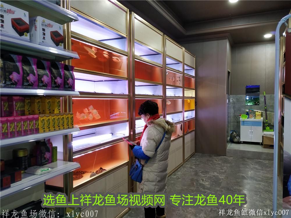 進門見魚缸最佳位置風水上：進門見魚缸，財氣滿盈家