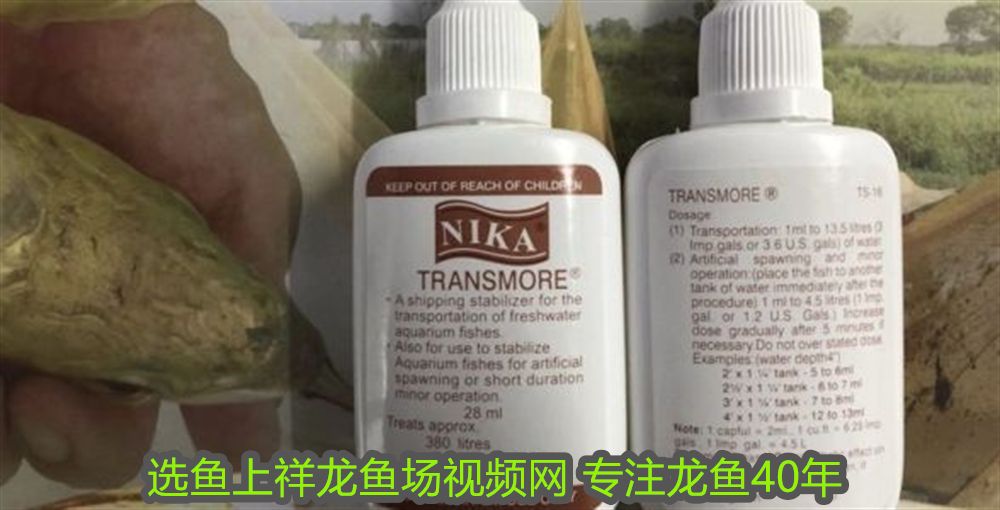 鎮(zhèn)宅最靈的三種東西，風(fēng)水寶物助家宅平安，鎮(zhèn)宅最靈的三大風(fēng)水寶物，保家宅平安運勢旺