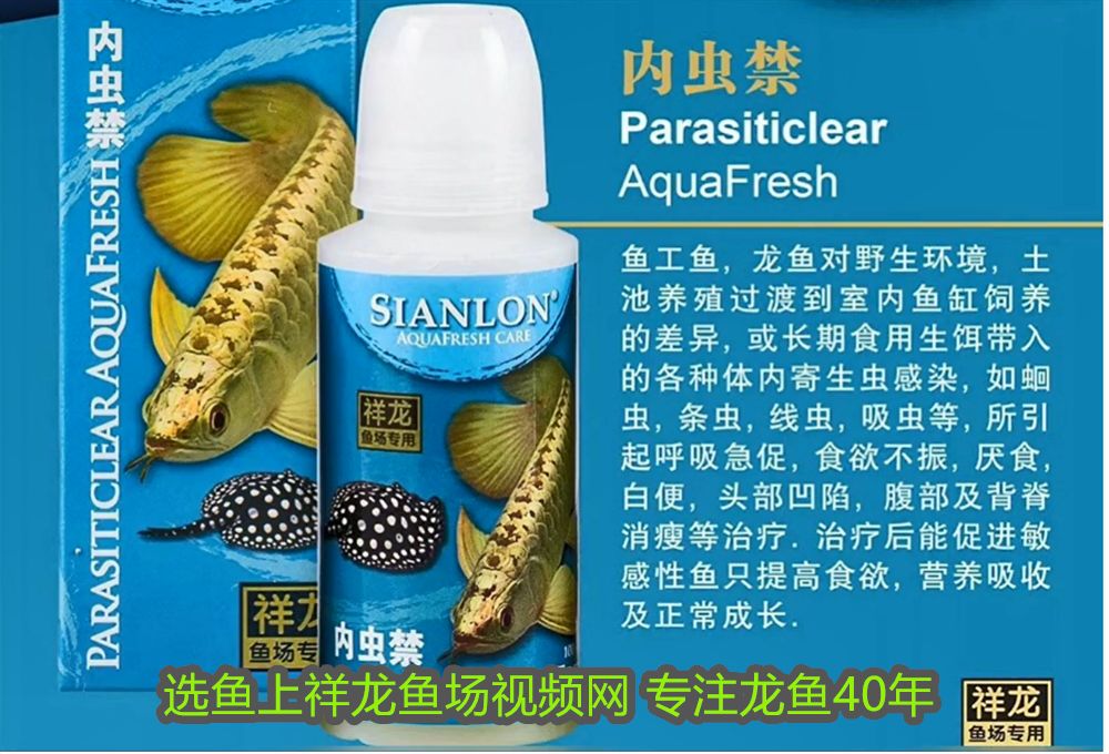 魚缸養三條魚吉利嗎？風水寓意與科學解析，魚缸養三條魚的風水寓意與科學解析，吉利與否全知道 魚缸養三條魚吉利嗎？風水寓意與科學解析，魚缸養三條魚的風水寓意與科學解析，吉利與否全知道 龍魚百科 第1張